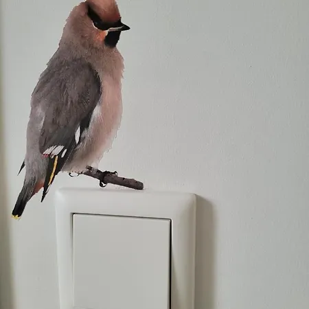 Sauna Egmond Casa de Férias *