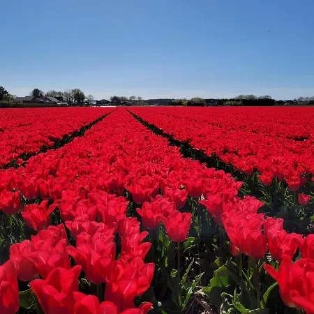 Casa de Férias Sauna Egmond Egmond aan Zee