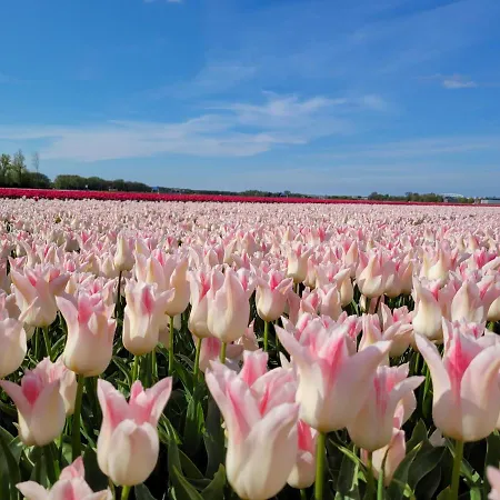 Sauna Egmond Vakantiehuis *