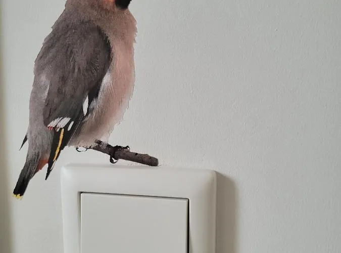 Sauna Egmond Vakantiehuis *