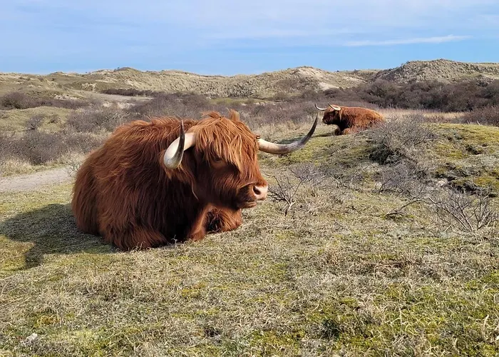 Sauna Egmond Vakantiehuis *